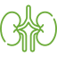 Hepática