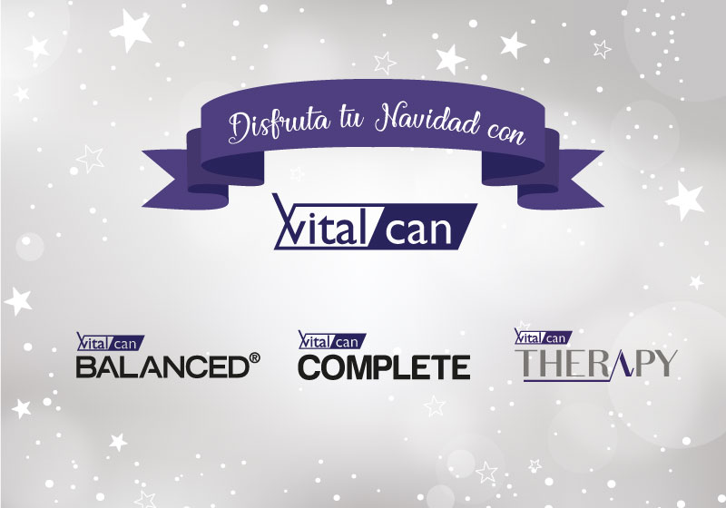 Términos y Condiciones de la campaña “Disfruta tu navidad con Vitalcan”