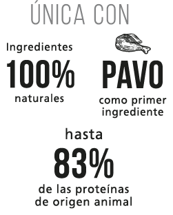 nutricion-nutrique