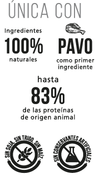 nutricion-nutrique