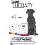 therapy