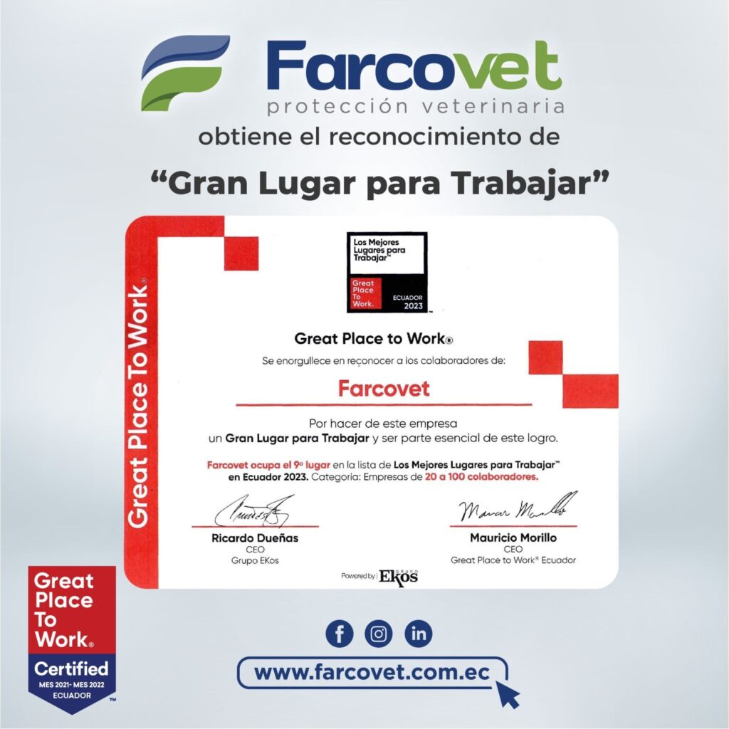 ¡Somos TOP 10 de mejores empresas para trabajar!